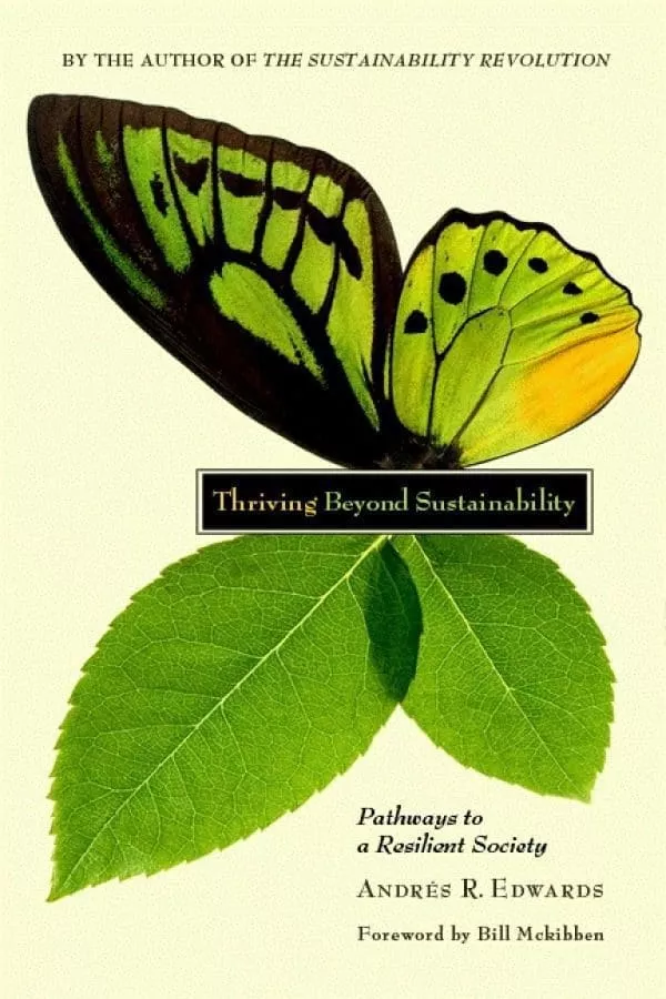 Book cover - Thriving beyond sustainability: pathways to a resilient society